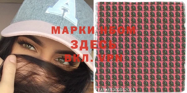 стаф Волосово