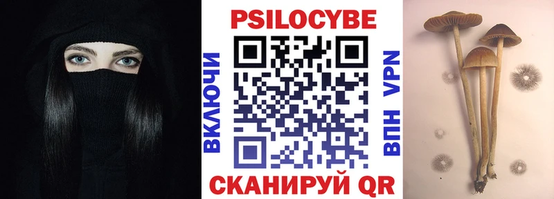 Галлюциногенные грибы Psilocybe  KRAKEN зеркало  Канск 
